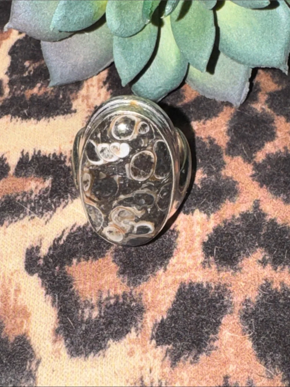 Turitella Jasper Silver Ring